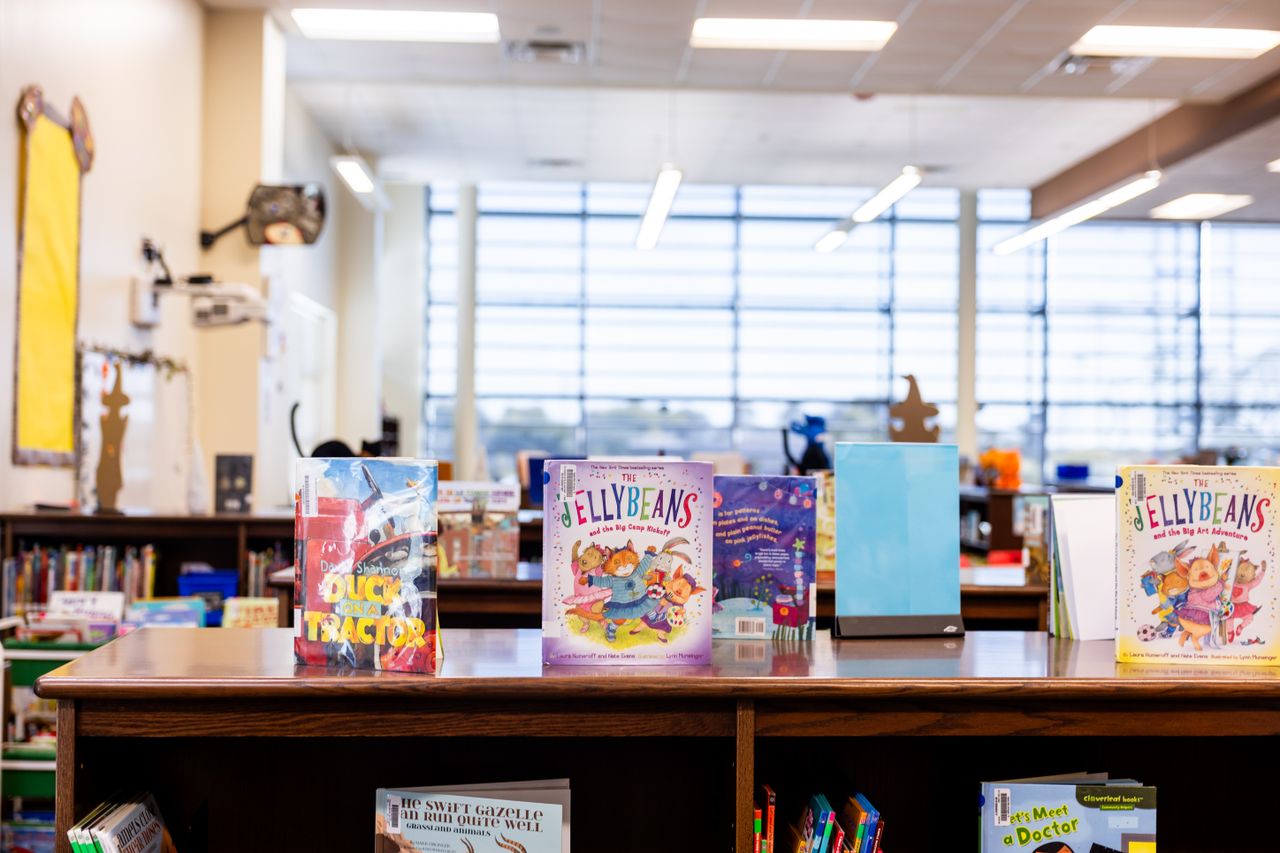 Vibrant children's books displayed in a well-lit library setting, ideal for educational themes.